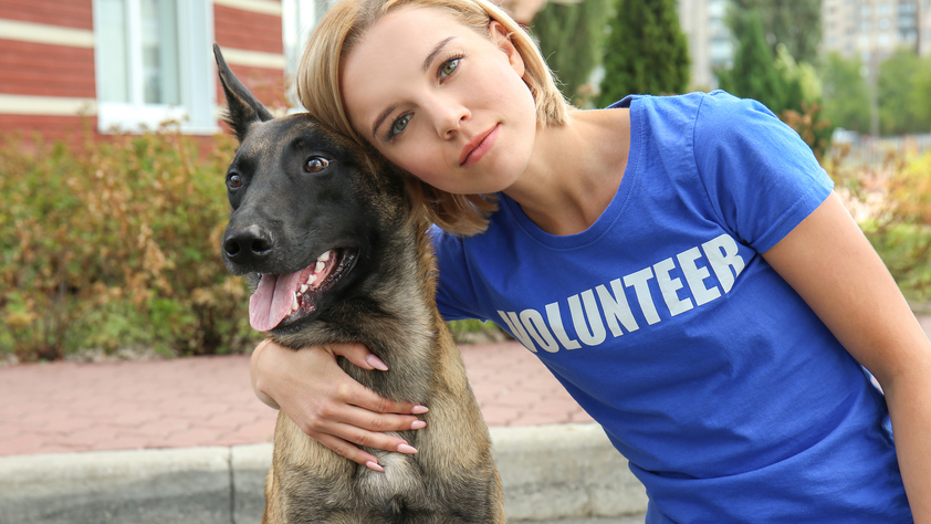 volunteer with homeless dog